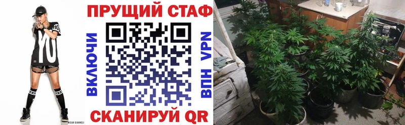 Магазины продажи наркотиков Свирск Галлюциногенные грибы  Альфа ПВП  Мефедрон  Бошки Шишки  Гашиш 