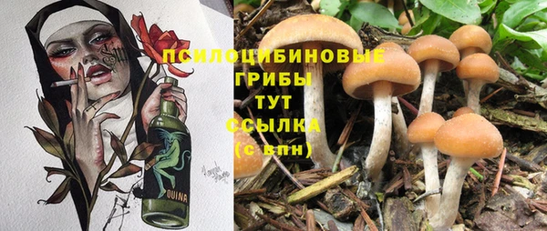 твердый Балабаново