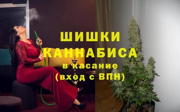 мяу мяу мука Арсеньев